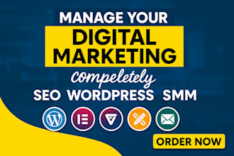 manage your digital marketing completely SEO, wordpress, SMM