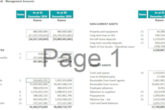 provide financial and auditing services and data entry