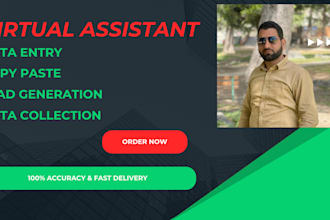 do accurate data entry ,web research ,copy paste and excel data entry jobs