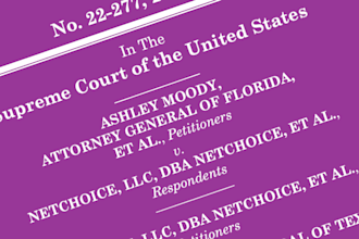 do legal research case briefs, case analysis, criminology, company, business law