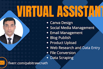 be your virtual assistant for social, blog, product upload, canva, web research