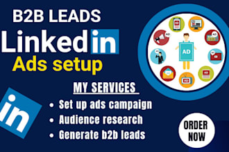 setup targeted linkedin ads for b2b leads, manage ads campaign