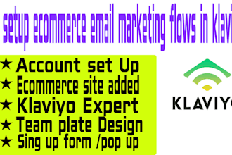 do setup ecommerce email marketing flows in klaviyo expert