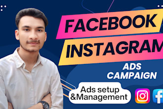 set up and manage fb, ig ads and meta ads campaigns