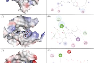 do molecular docking, virtual screening of ligands  with protein