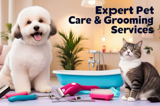develop a pet care, pet grooming, and pet training website for your pet services