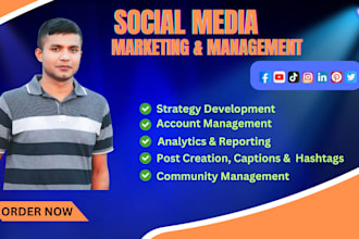 manage your social media marketing on instagram, facebook, pinterest, linkedin