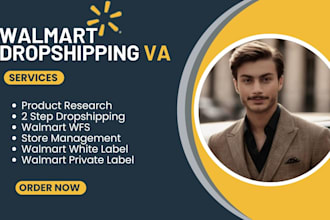 do walmart dropshipping wfs store management and product research VA