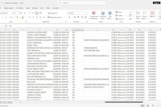 do data entry, web research, convert pdf to word, ms, excel data entry