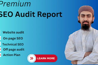 provide a professional SEO audit with technical fixes