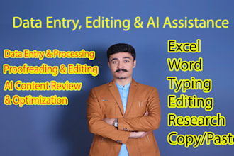 provide expert data entry, editing and ai assistance