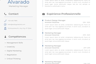 design a professional and modern resume