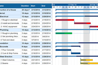 do business plan, project management, gantt charts, risk analysis, HR, reports