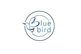 design blue bird coaching logo
