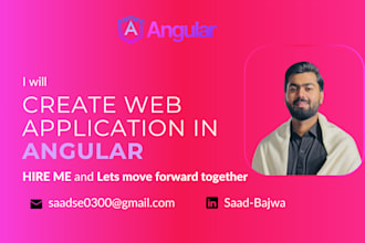 develop custom angular full stack application and net webapi