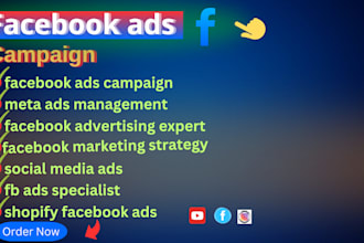 high converting facebook or  meta ads campaigns