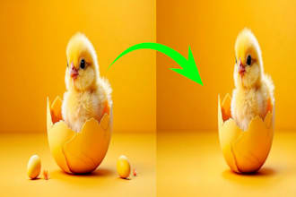 professionally remove objects and people from photos