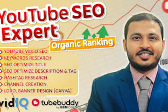 be your youtube SEO expert for organic growth