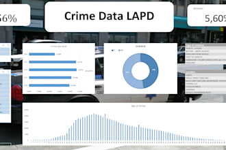 create professional excel dashboards, data analyses and power query