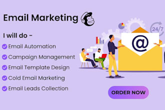 set up SMTP cold email, leads, klaviyo and mailchimp email campaigns