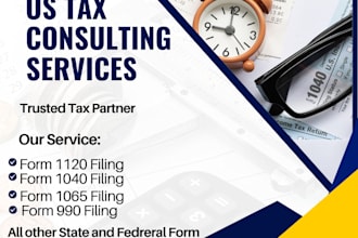 prepare all US tax forms like 990, 1040, 1065, 1120