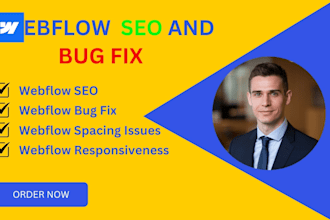 fix webflow bugs,resolve mobile responsive issues, onpage SEO,and update website