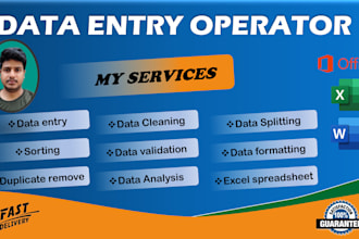 deliver accurate and well structured excel data solutions