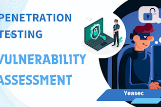 do vulnerability assessment and penetration testing for your website