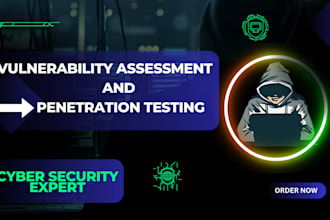 do website vulnerability assessment and penetration testing