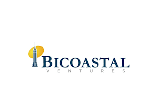 design a professional and conservative business logo