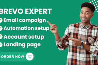 design bravo email design brevo newsletter landing page in 24hours