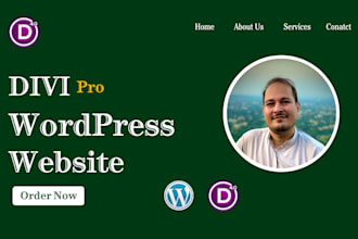 customize your wordpress divi theme professionally