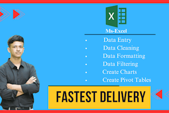 do data entry, clean, format, filter, charts and pivot table