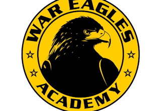design a professional eagle logo