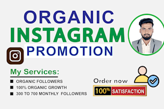 do organic instagram promotion for fast organic growth
