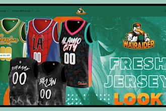 build shopify sportswear store for NFL jerseys, nba, baseball and fan gear