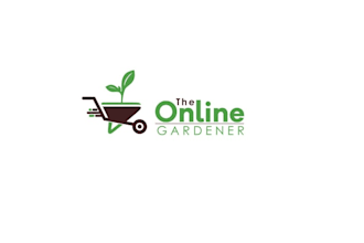 create dynamic web shop company logo design