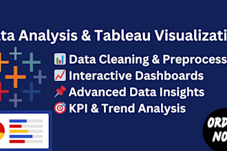 perform data analysis and create insightful tableau visualization