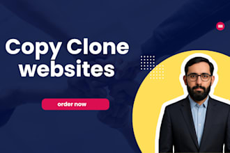 design clone copy or duplicate wordpress website by elementor pro