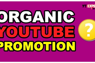 usa youtube video promotion, channel management, growth and monetization
