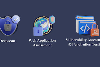 identify and evaluate vulnerabilities in websites