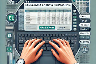 do accurate data entry, excel formatting and file conversion in 24 hours