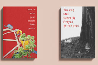 design a modern, minimalist book or ebook cover