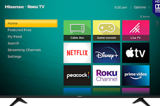 do professional roku channel and amazon fire TV app setup