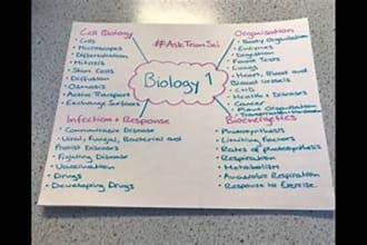 tutor you in biology, chemistry and biochemistry