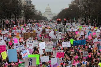 support you in navigating the USA political mess