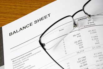 prepare balance sheet, profit and loss, and financial projections