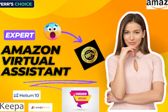 your amazon fba virtual assistant and amazon va consultant
