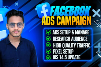 manage facebook and instagram ad compaigns for brand growth