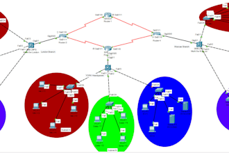 networking related tasks and projects for you